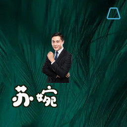 苏婉